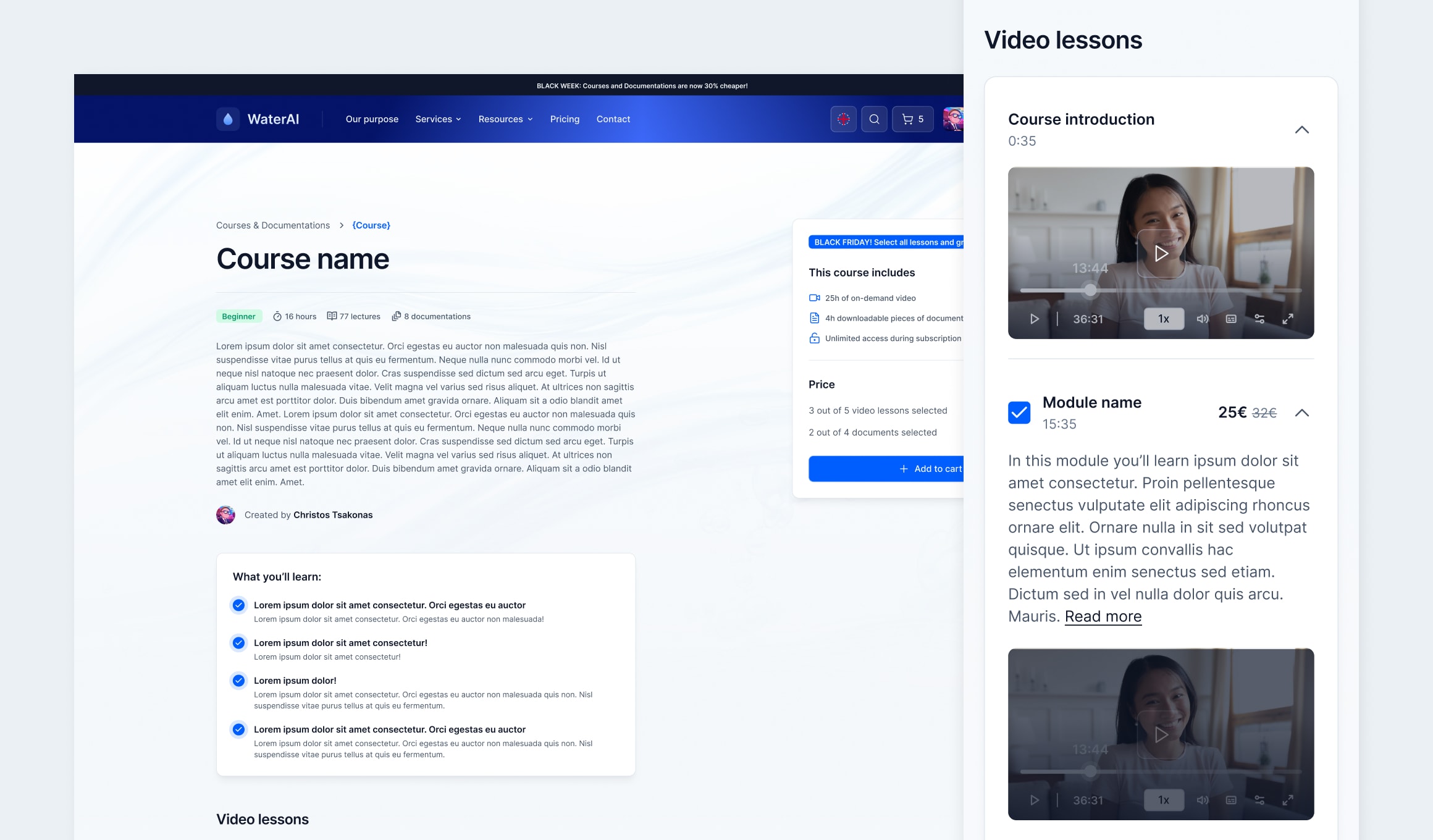 NerAida - course page with video lessons and add-to-cart