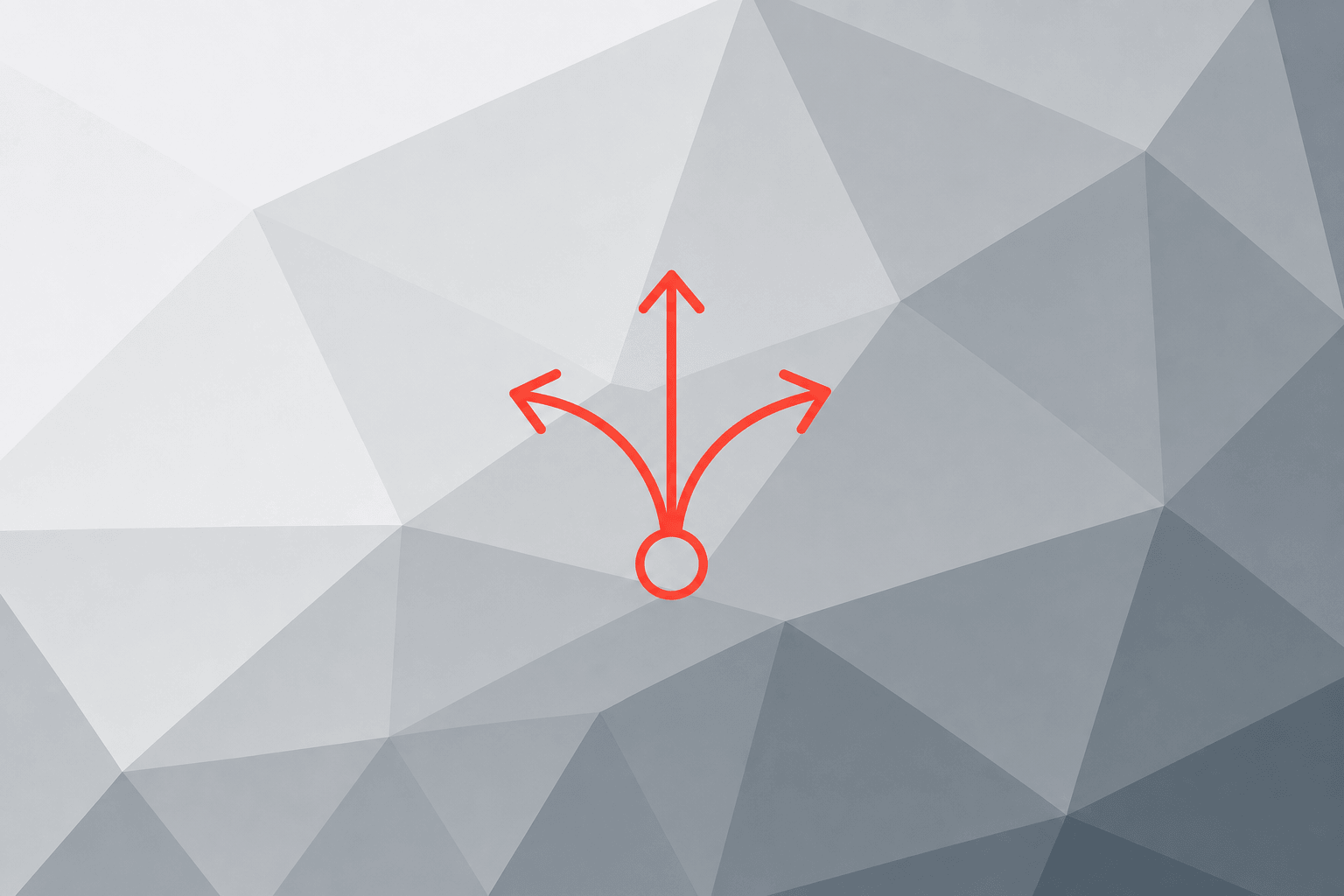 Shopware vs Shopify vs Custom Ecommerce: Which Platform Fits Your Growth Stage?